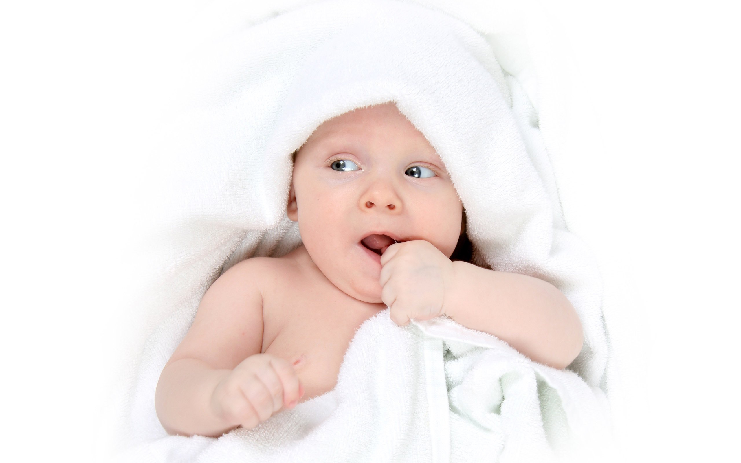 捐卵机构联系方式怎么提高试管婴儿的成功率